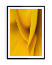 Luminous - Limited Edition