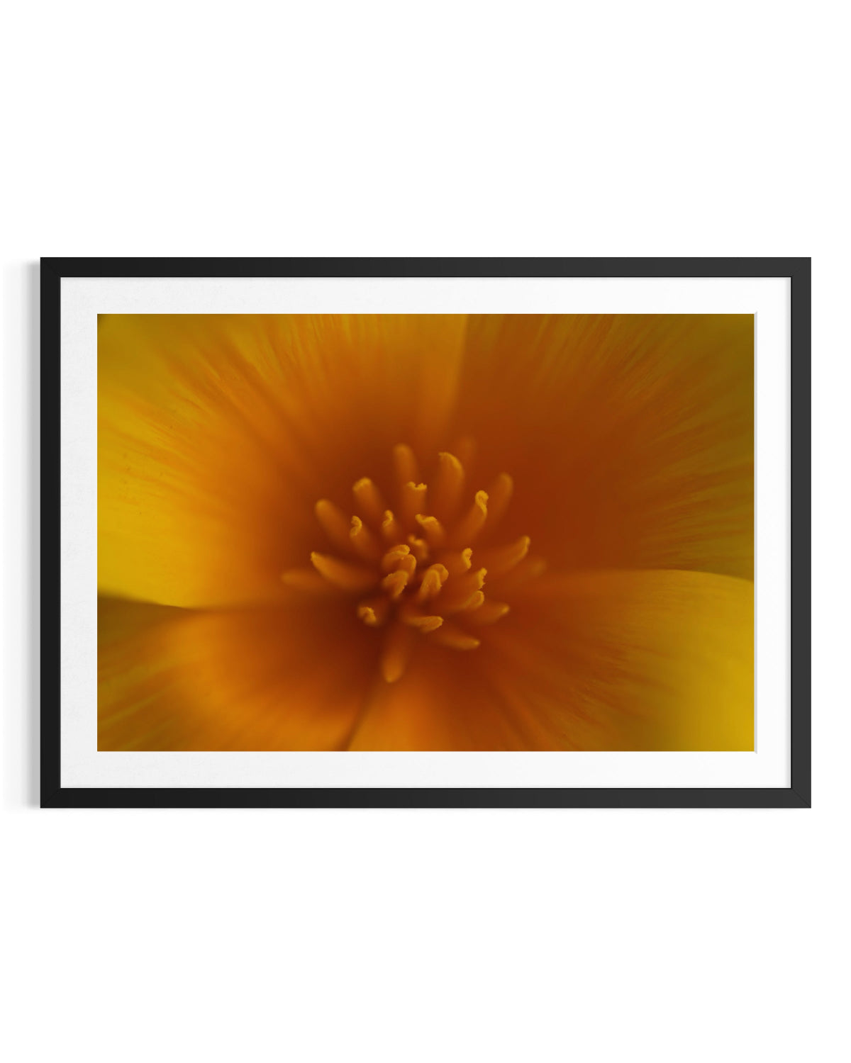 Summer Glow - Limited Edition