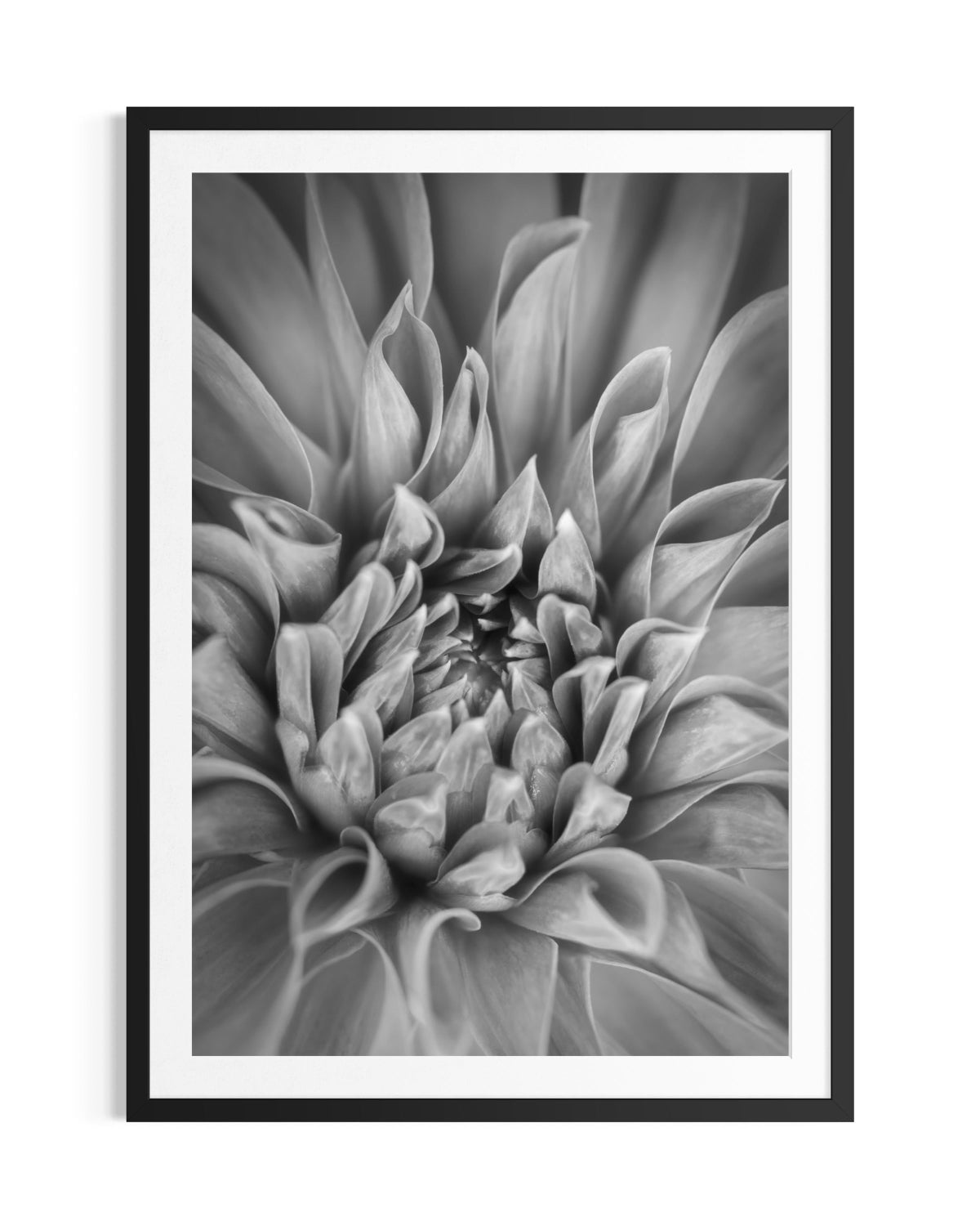 Hidden Depth's - Limited Edition