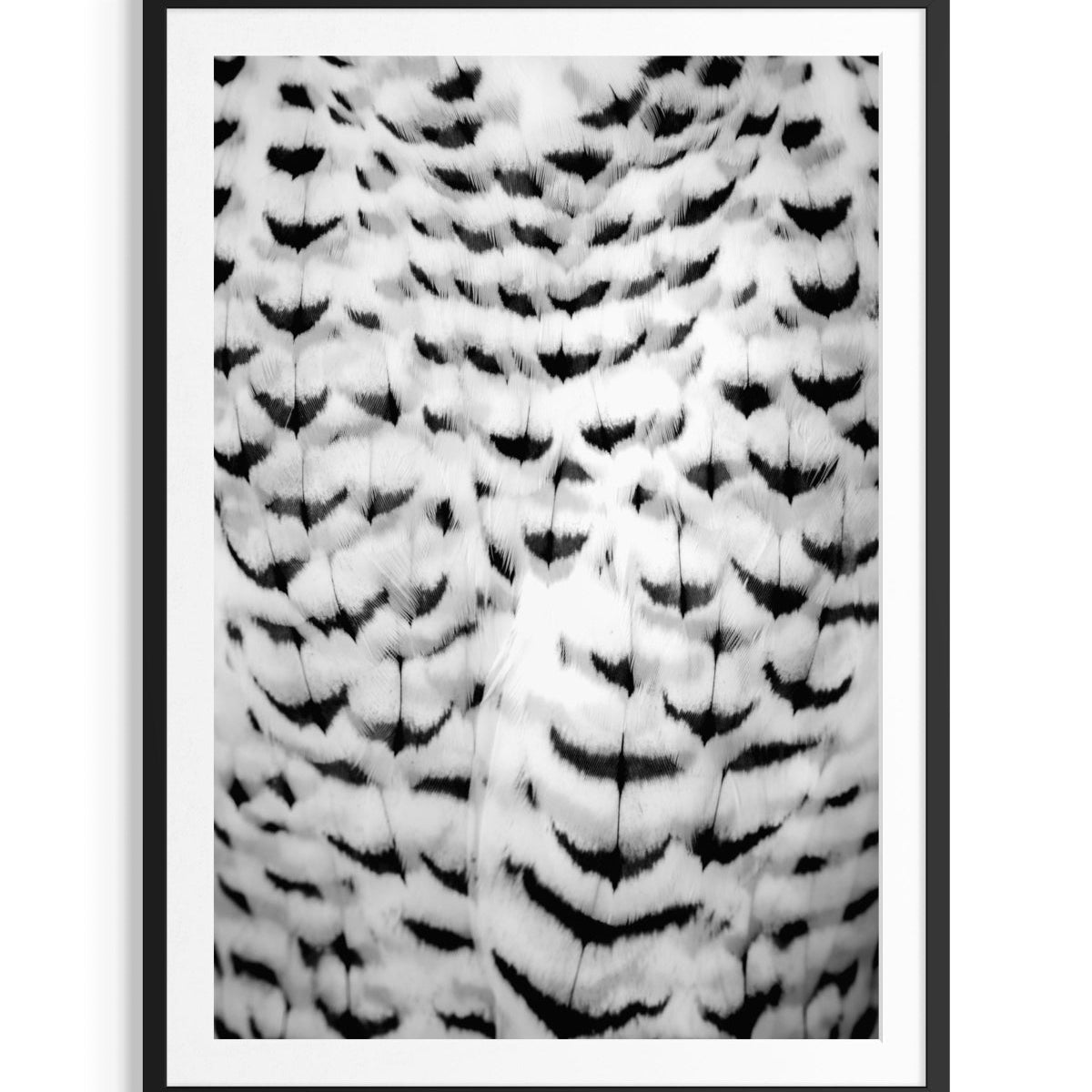 Wings of Elegance - Limited Edition