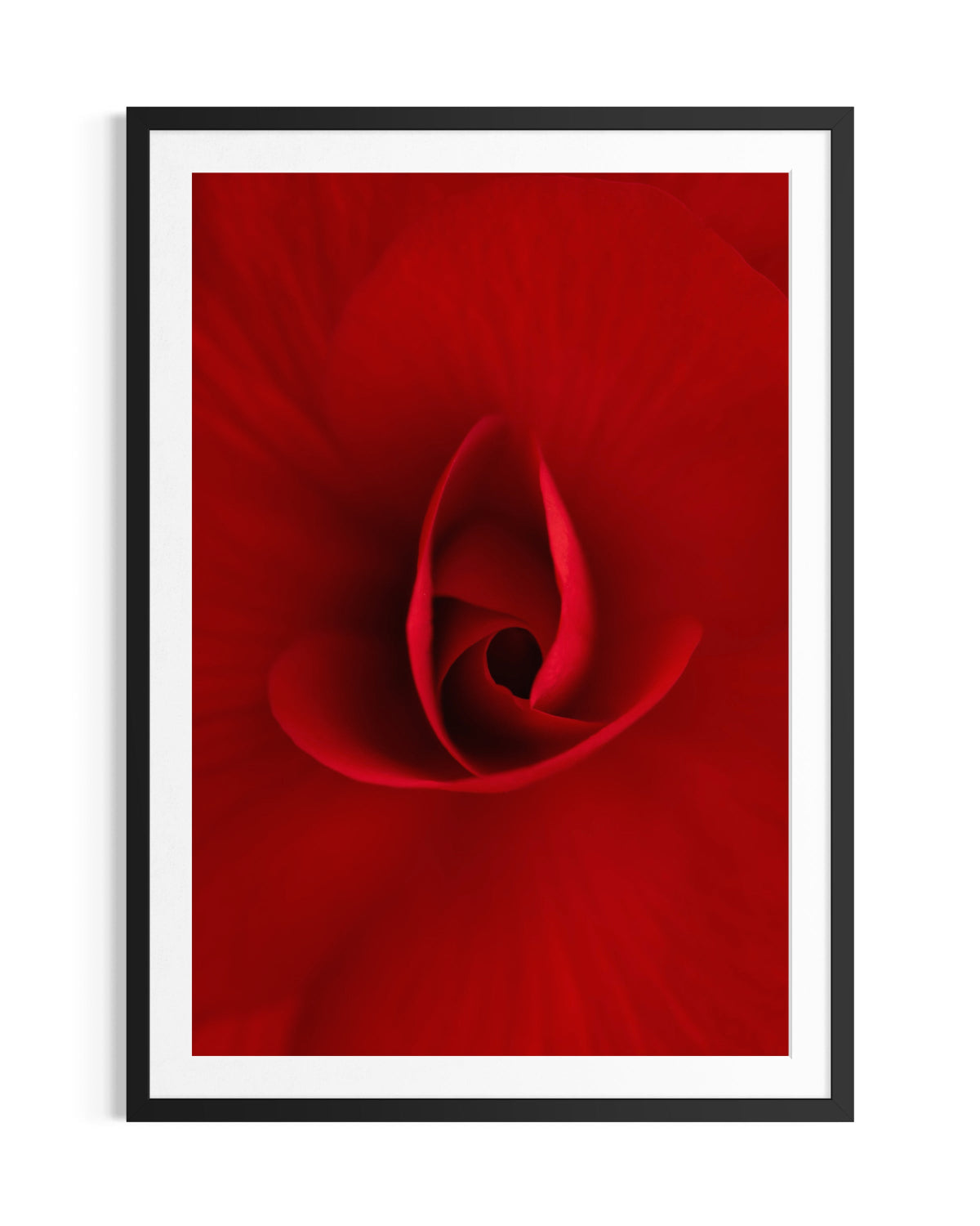 Depth's of Desire - Limited Edition