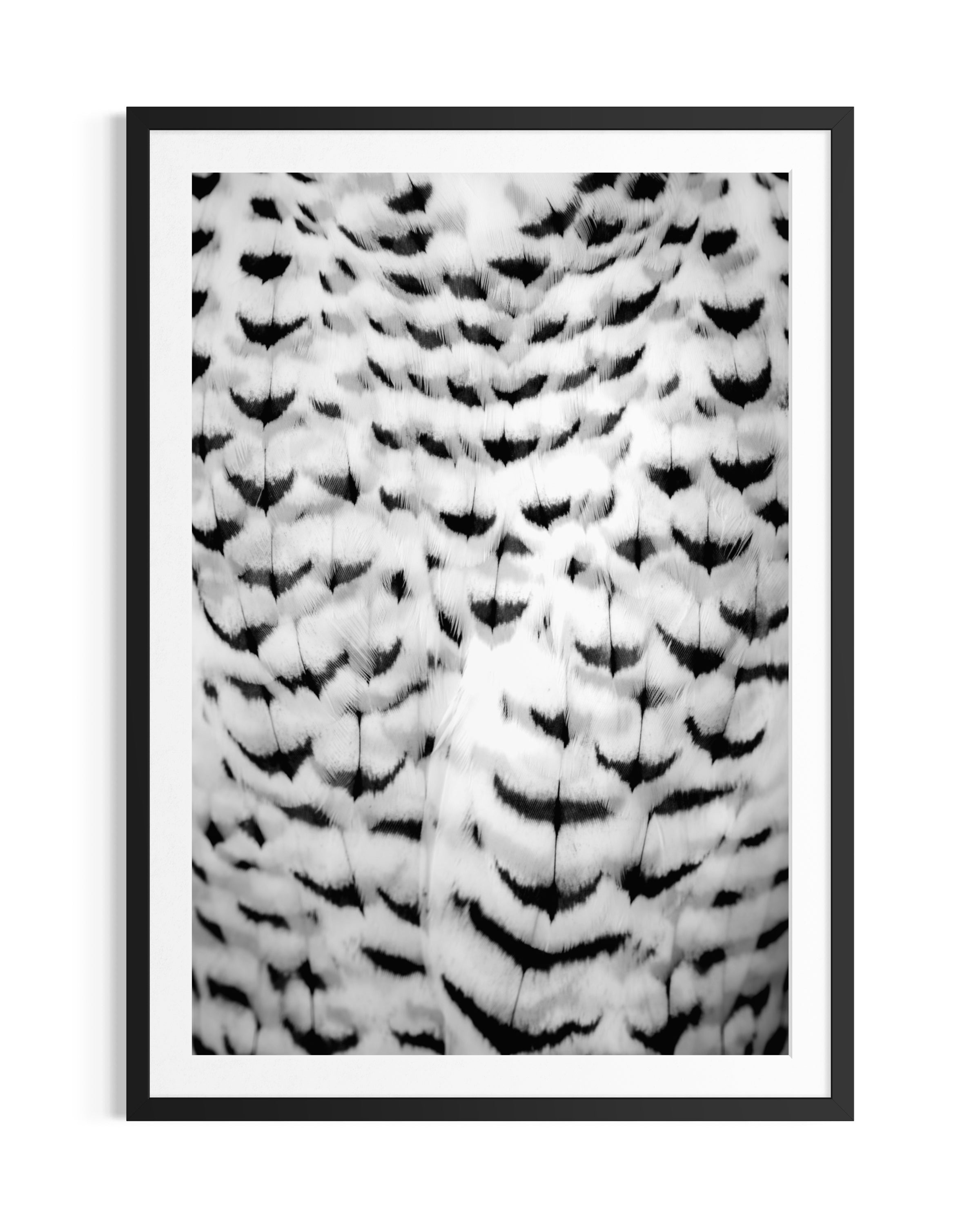 Wings of Elegance - Limited Edition