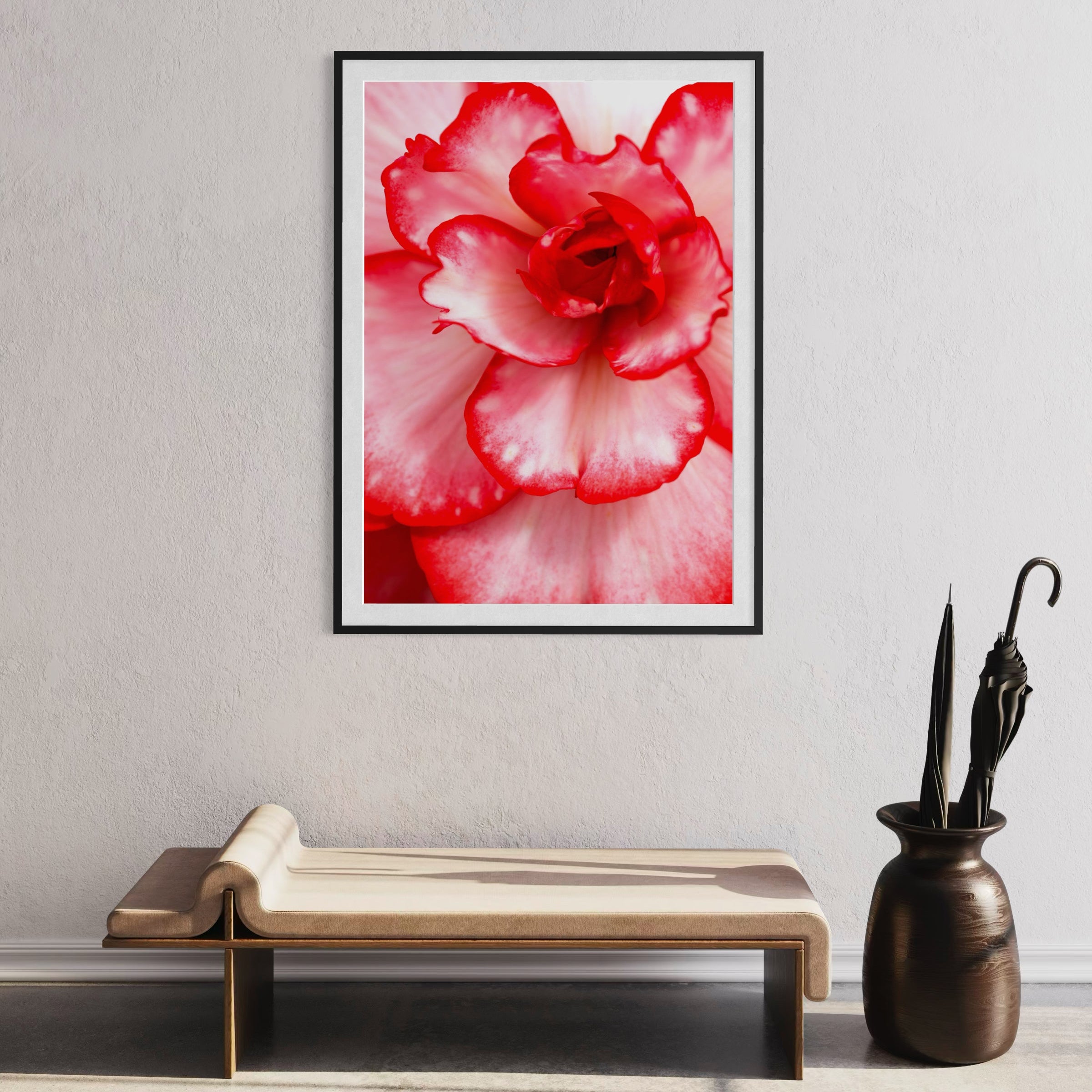 Elegance - Limited Edition