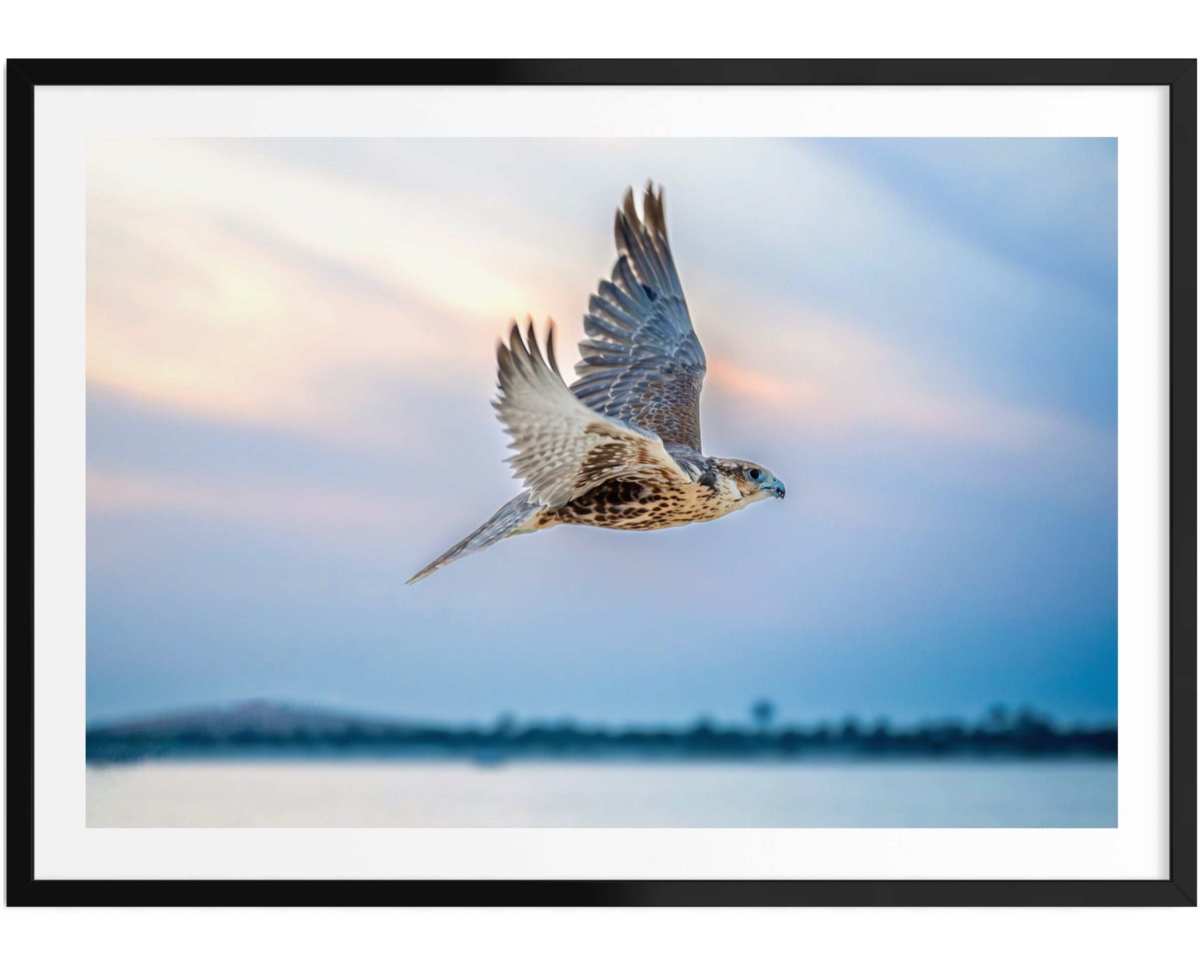 عزلة طائرة - إصدار محدود