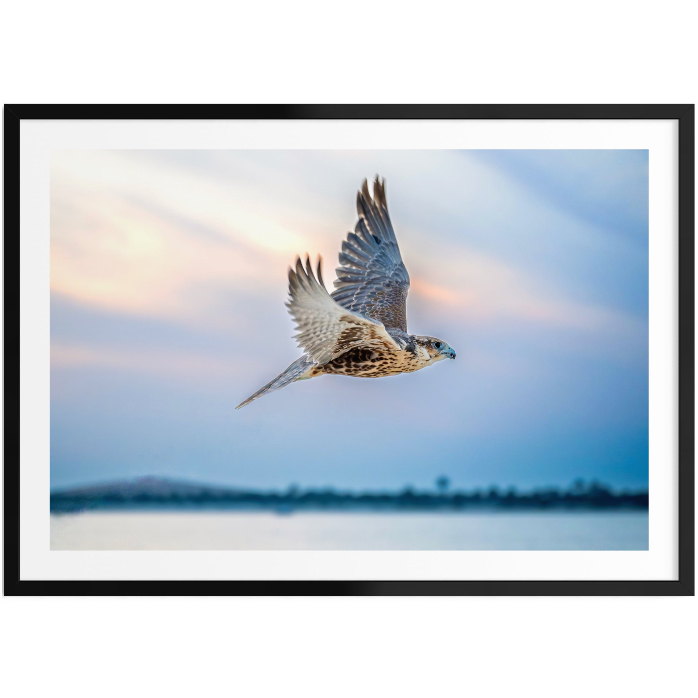 Flying Solitude - Limited Edition