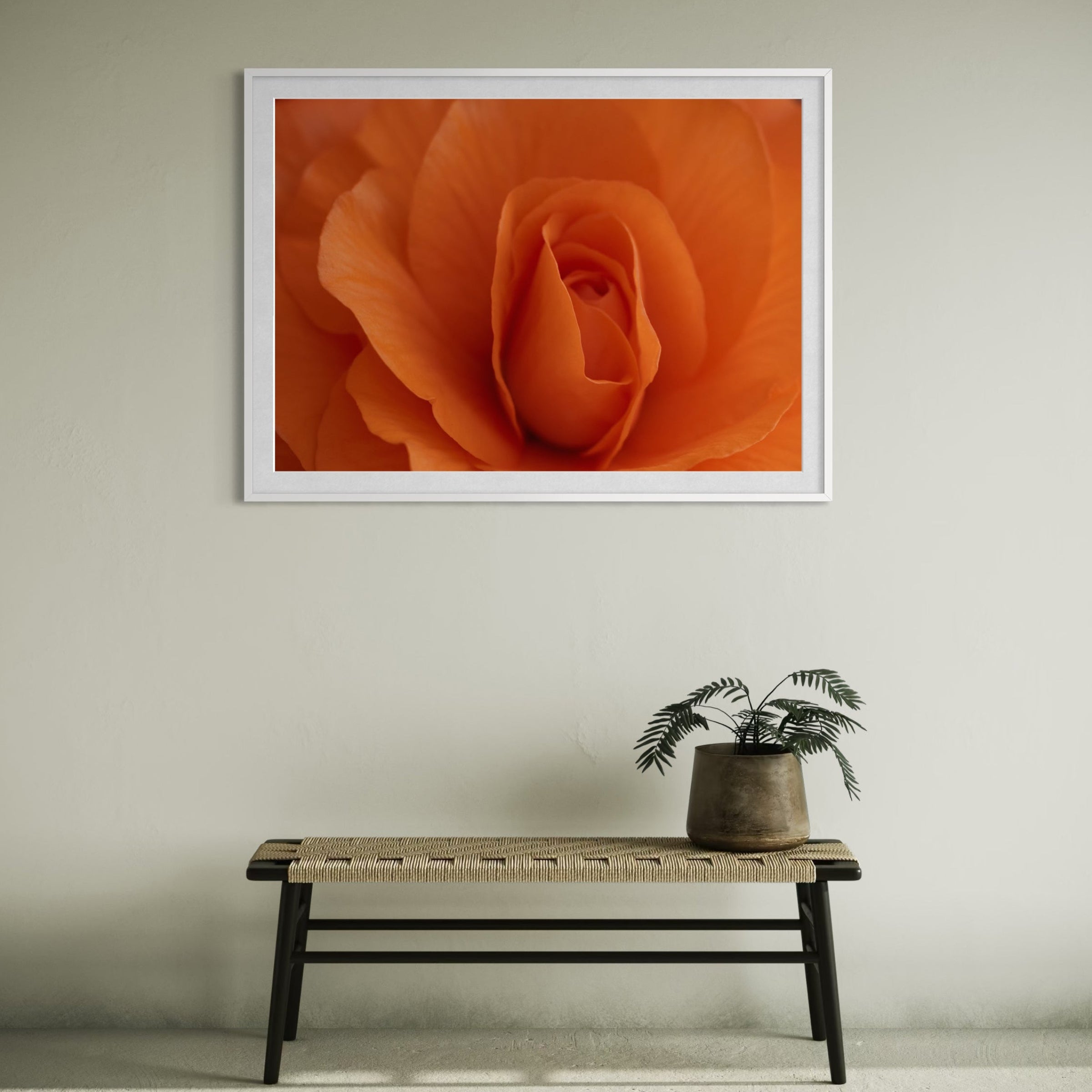 Blushing Bloom - Limited Edition