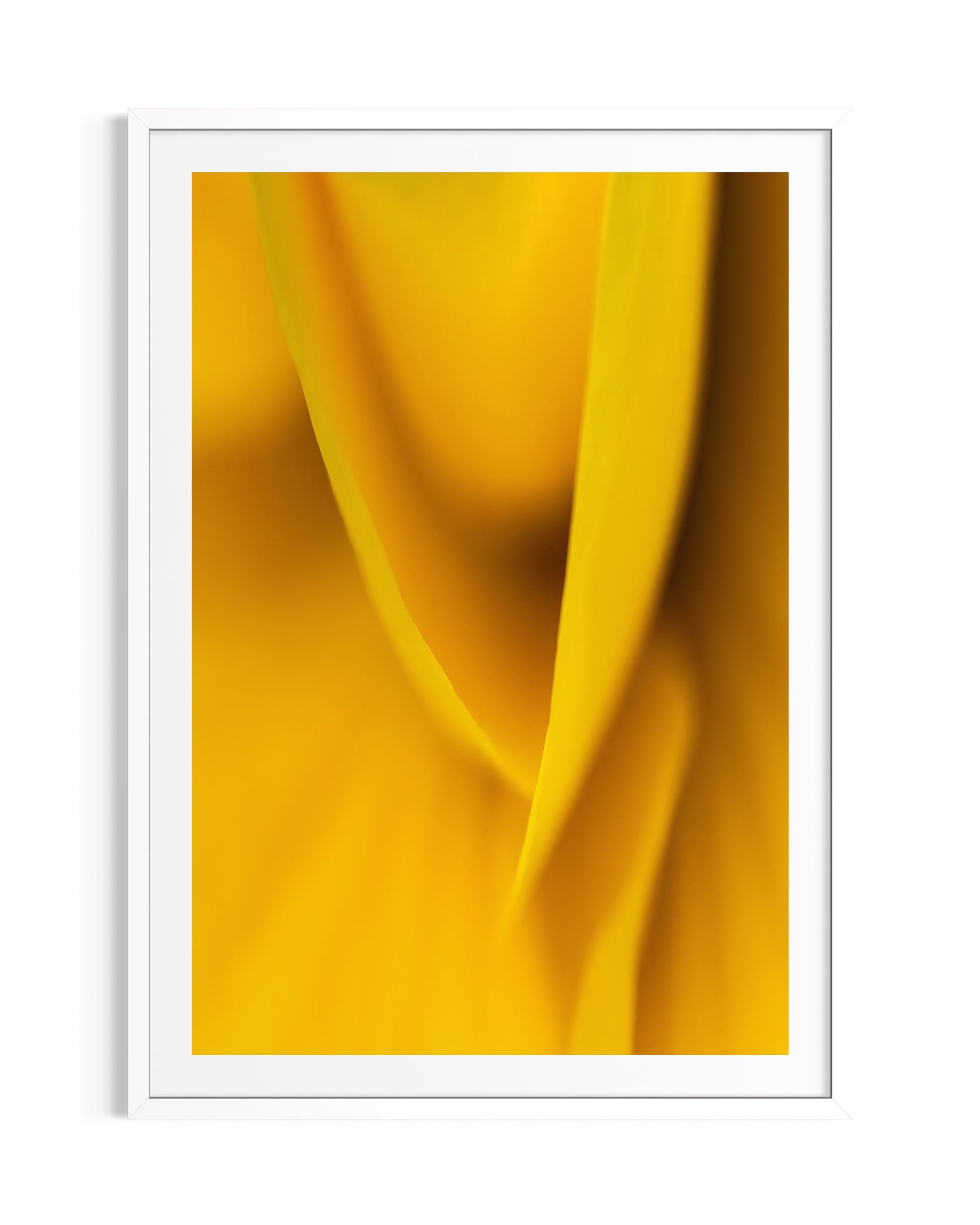 Luminous - Limited Edition