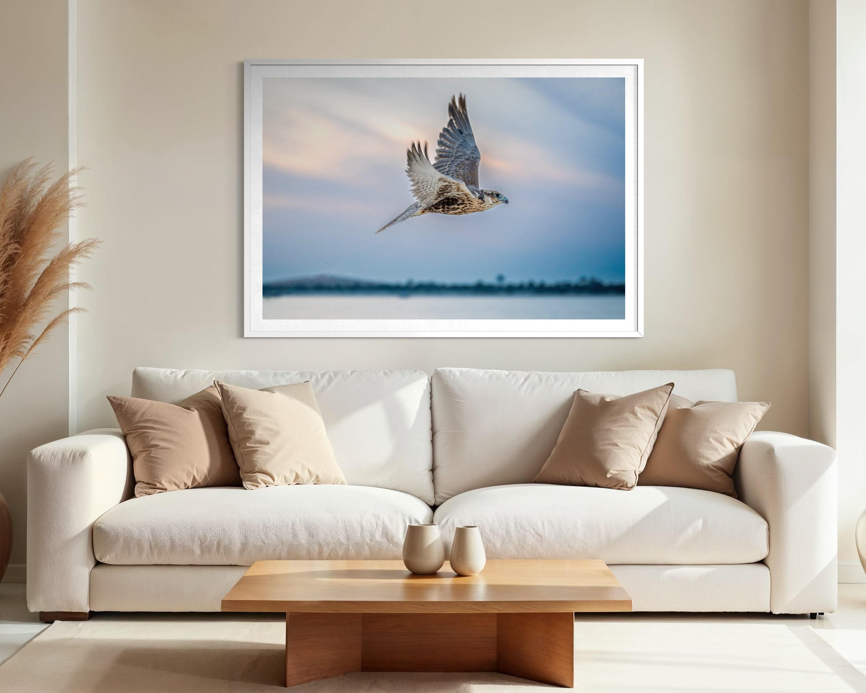 Flying Solitude - Limited Edition