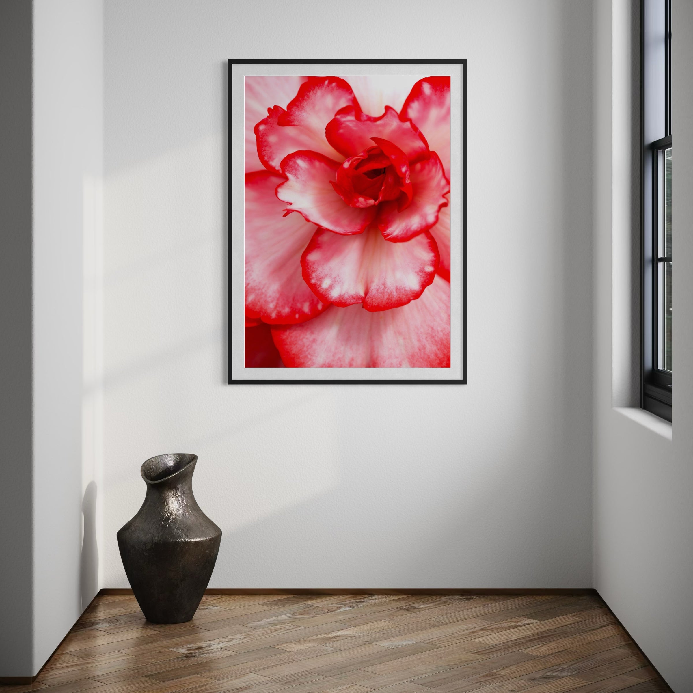 Elegance - Limited Edition