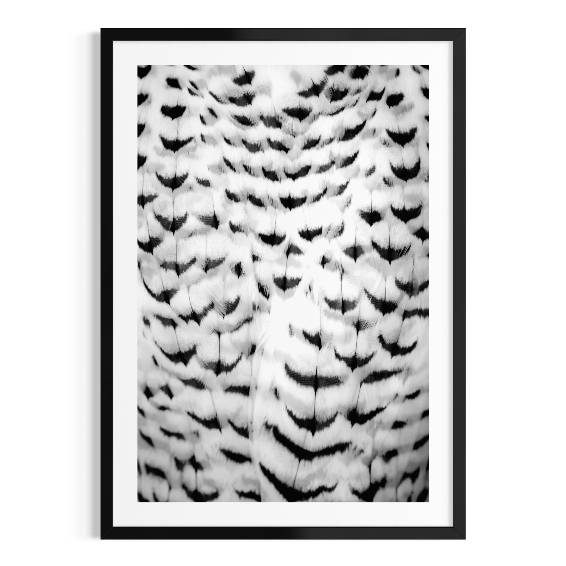 Wings of Elegance - Limited Edition